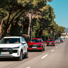 Ebros en carreteras