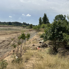Imagen de archivo del campo valenciano