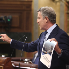 El presidente del PP, Alberto Núñez Feijóo, interviene en el Congreso