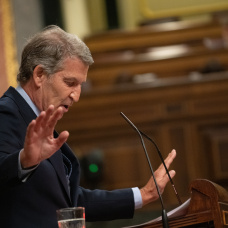 El presidente del Partido Popular, Alberto Núñez Feijóo, interviene durante una sesión plenaria en el Congreso de los Diputados
