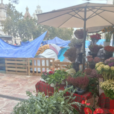 Puestos de flores de la plaza del Ayuntamiento con la acampada por la vivienda