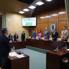 Los políticos andaluces guardan un minuto de silencio por Mari Carmen en el Parlamento.