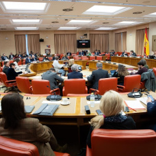 Reunión de la Diputación Permanente del Congreso