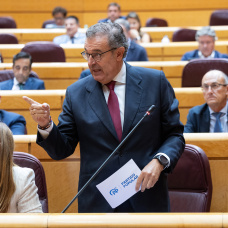 El senador del PP, Gerardo Camps