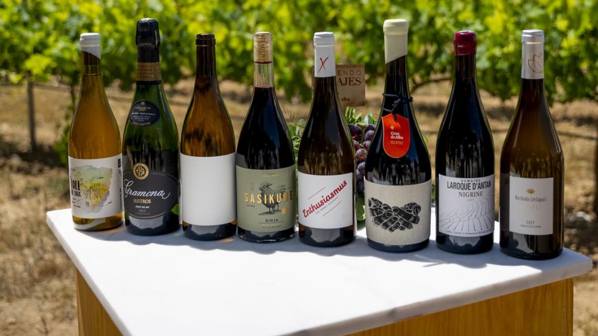 Vinos de la cata de Sintiendo Paisajes 2024