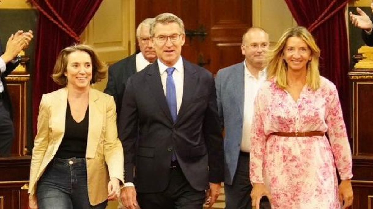 Núñez Feijóo rodeado de sus parlamentarios en el Senado