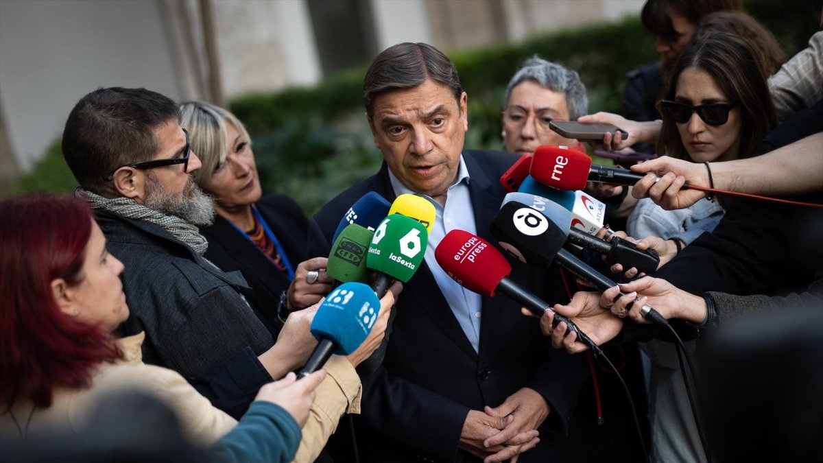 El ministro de Agricultura, Pesca y Alimentación, Luis Planas.