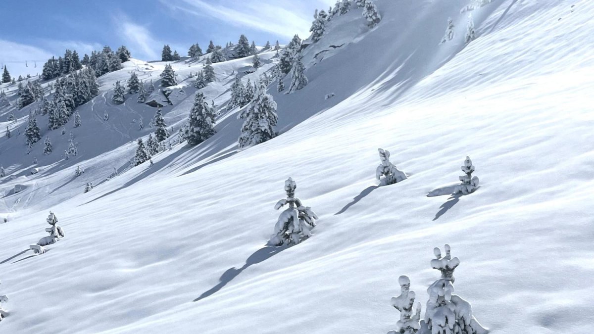 La gran apuesta de Aramon: nieve garantizada en pistas