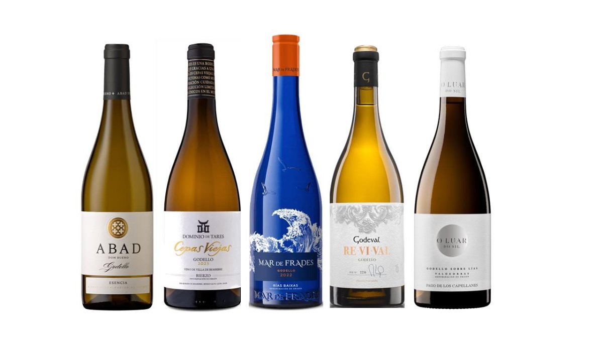 Vinos de uva godello