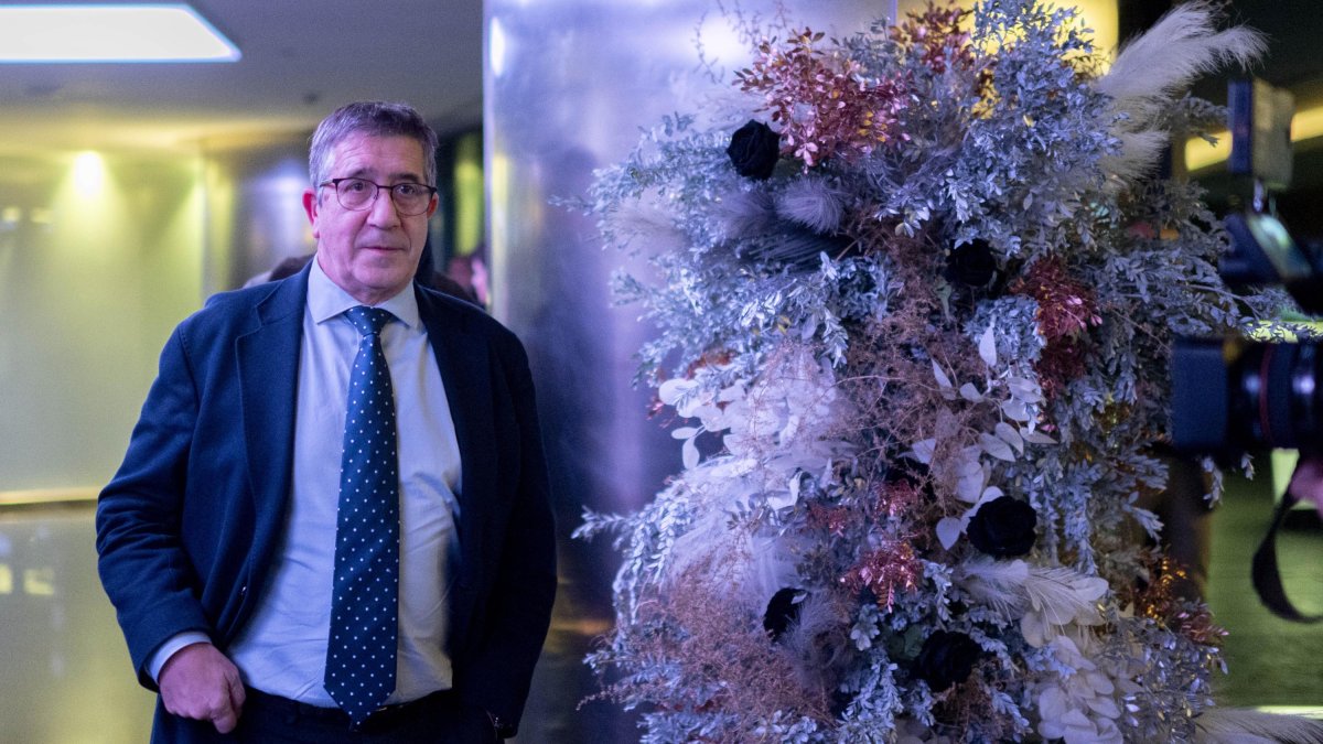 El portavoz del grupo parlamentario socialista, Patxi López