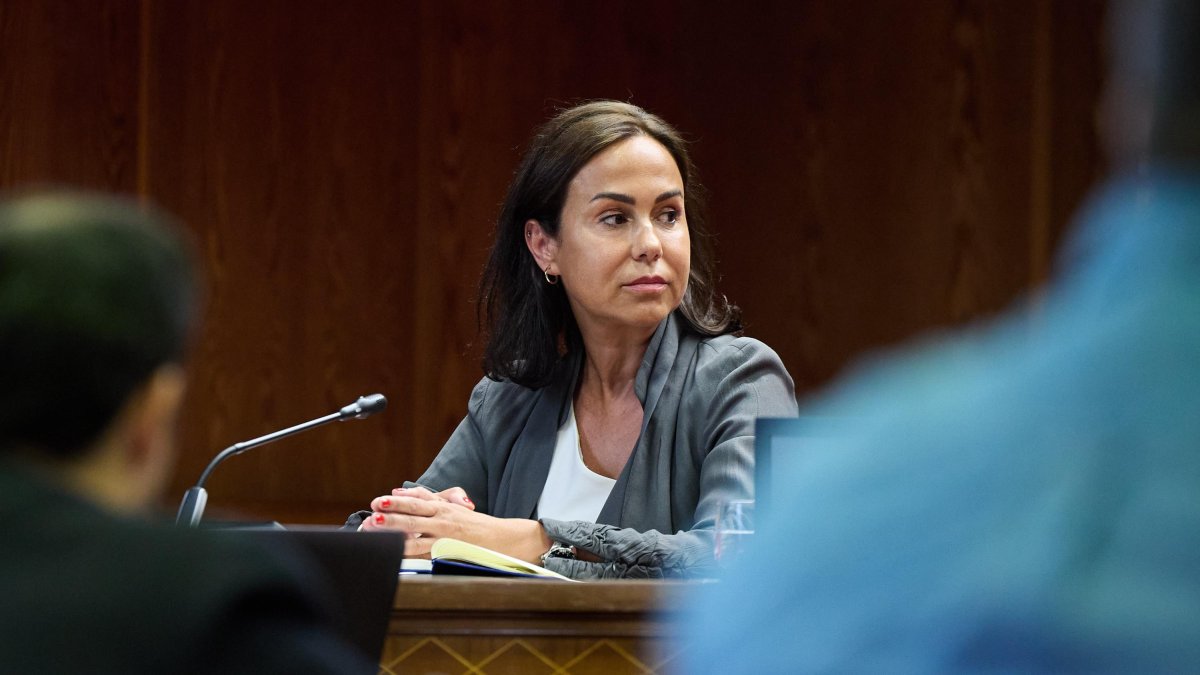 La expresidenta de Adif y ex secretaria de Estado de Transportes, Movilidad y Agenda Urbana, Isabel Pardo de Vera