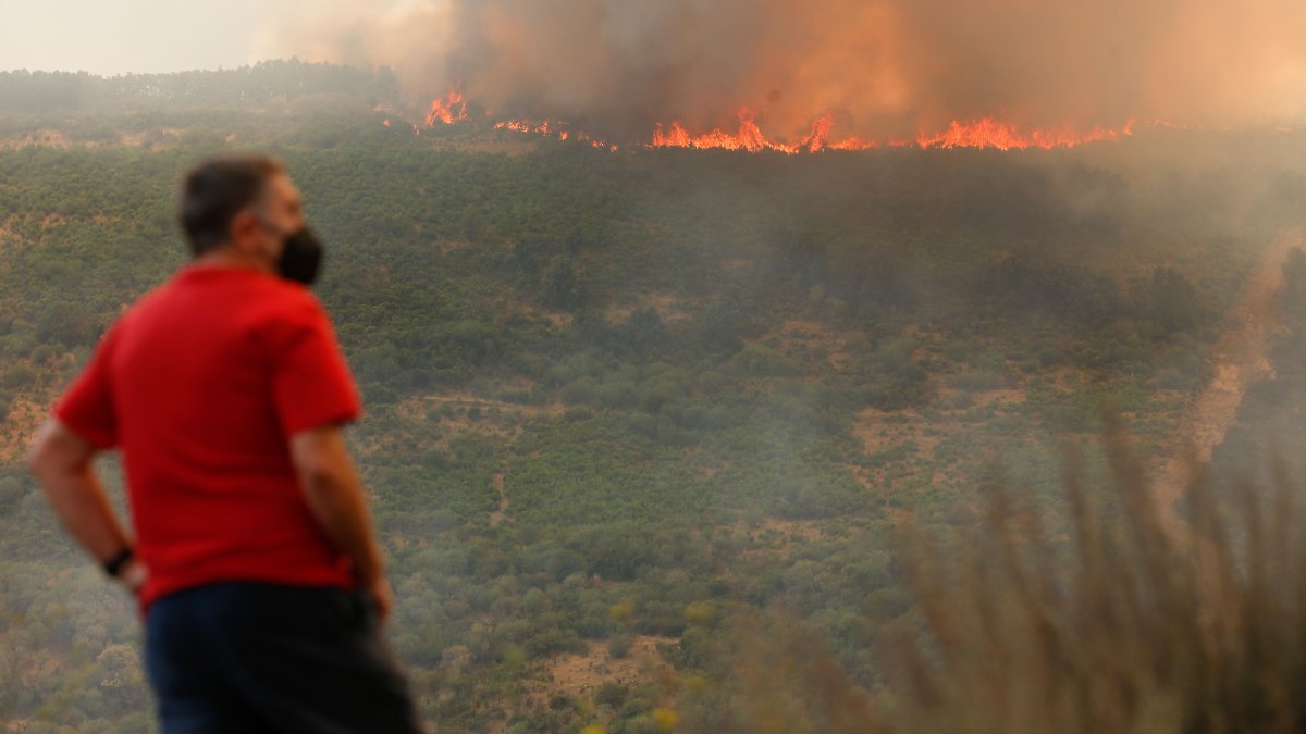 Es oficial: la sobrecogedora cifra de hectáreas quemadas convierten el 2025 en peor año de incendios