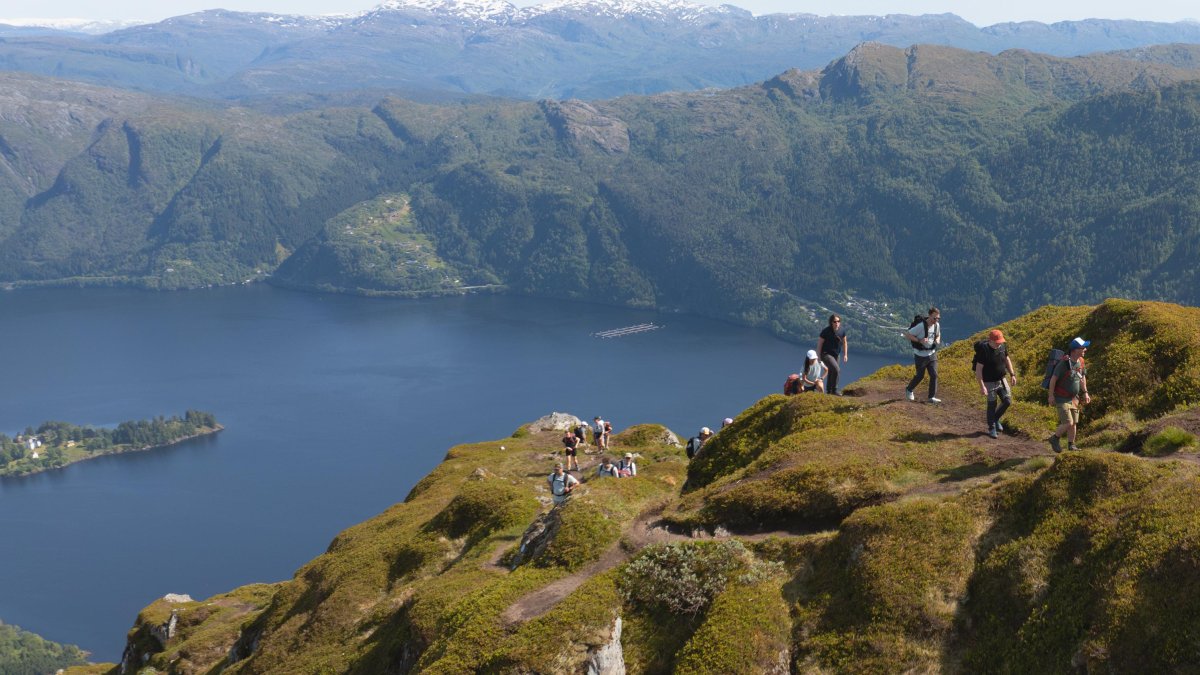 Bergen: entre montañas y fiordos, la puerta de Noruega