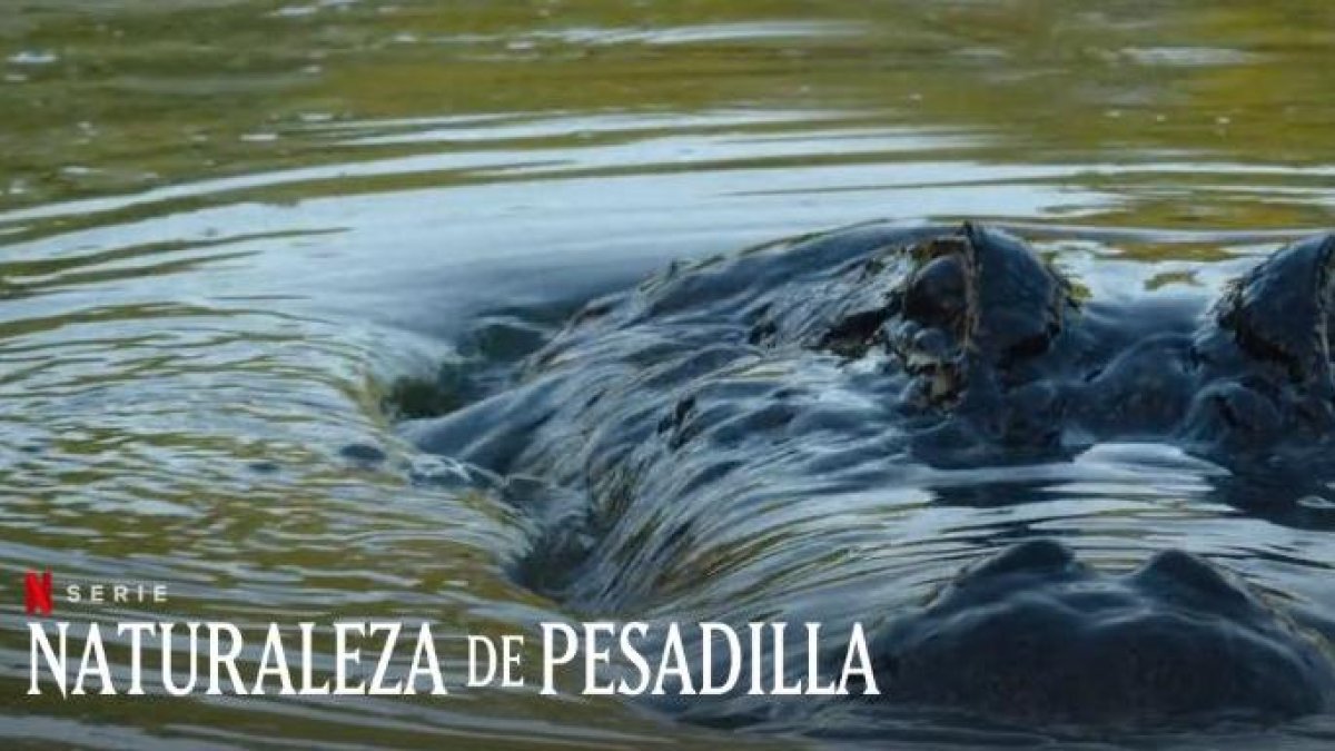 'Naturaleza de Pesadilla': la docuserie de Netflix que mezcla fauna y terror