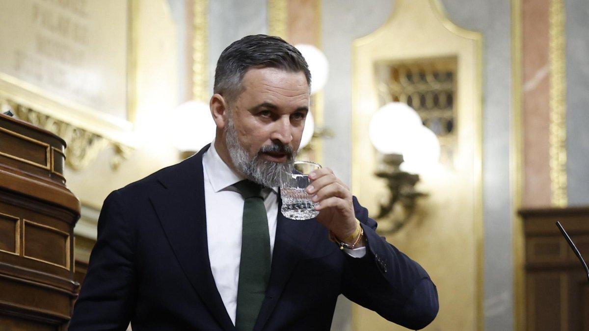 Santiago Abascal, en un pleno en el Congreso