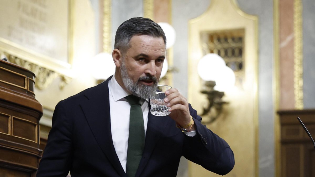Santiago Abascal, en un pleno en el Congreso
