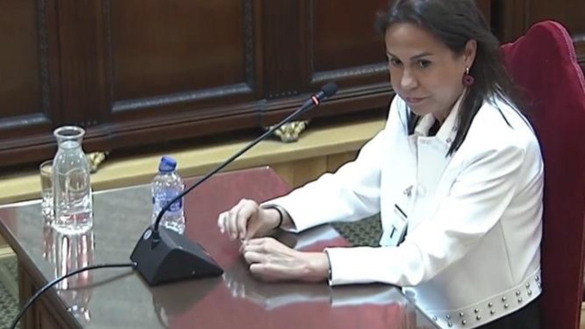 Pardo de Vera se erige en perito de su propia defensa para negar los amaños del caso Koldo