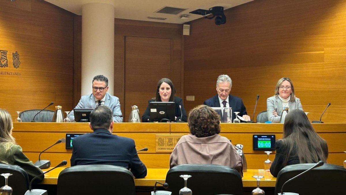 Constitución de la comisión de investigación sobre las VPP de Les Corts, en imagen de archivo.