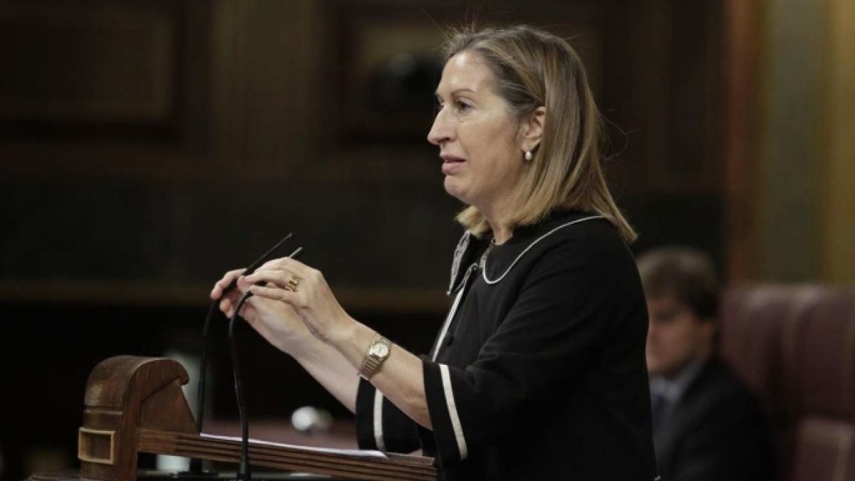 Ana Pastor, dura una intervención en la tribuna del Congreso de los Diputados