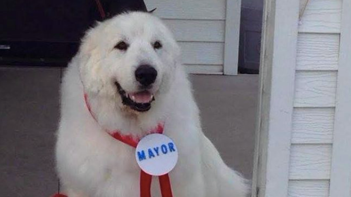 Duke, alcalde por tercera vez consecutiva.