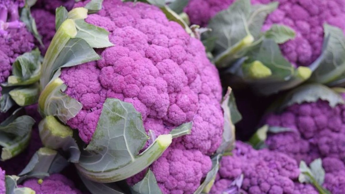 La coliflor morada, fuente natural de antioxidantes
