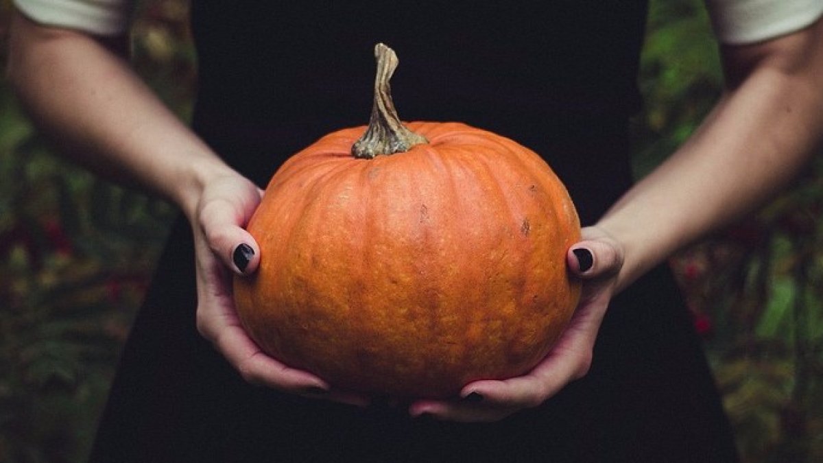 Disfruta de la noche de Halloween sin tener que disfrazarte