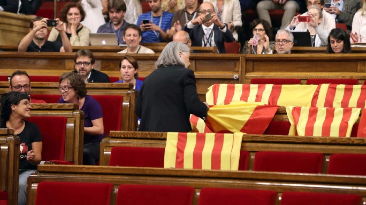 El vídeo de la diputada de Podem que retiró las banderas de España rompe la Red