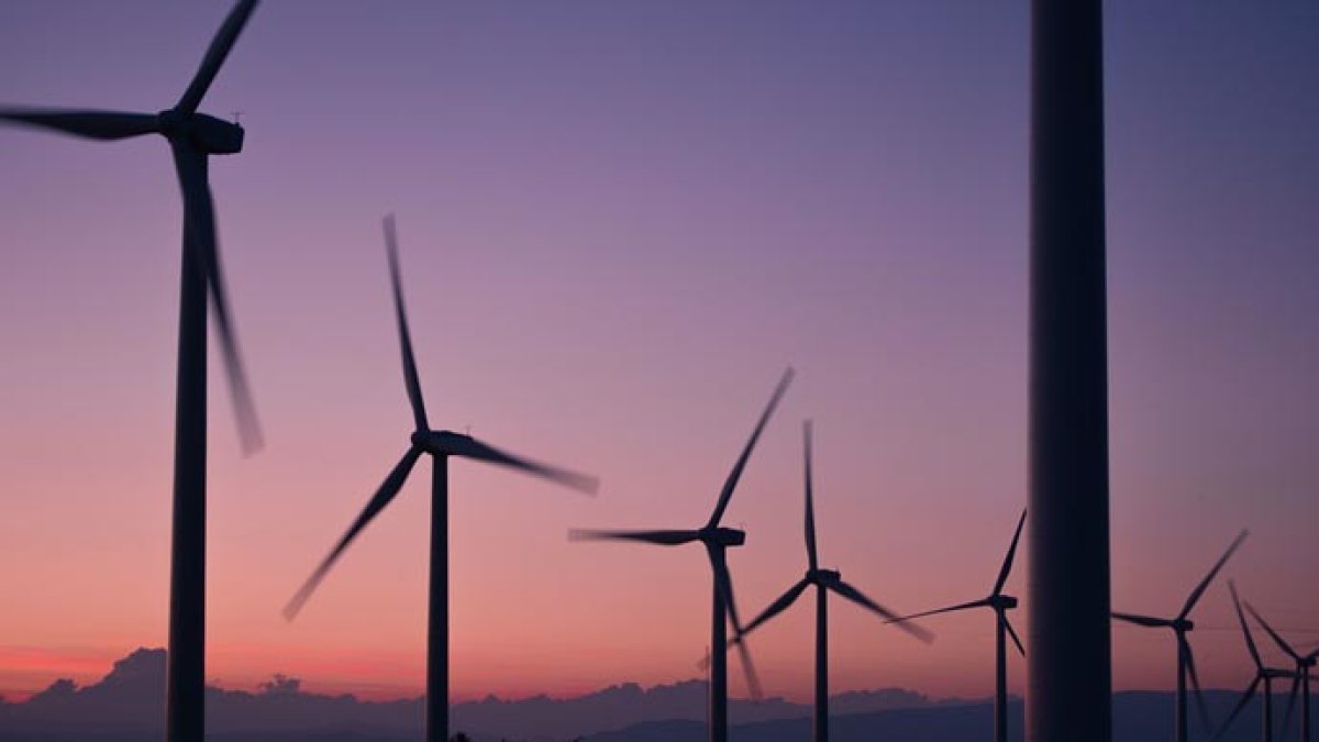 Elche se pone a la cabeza en cuanto a energías renovables.