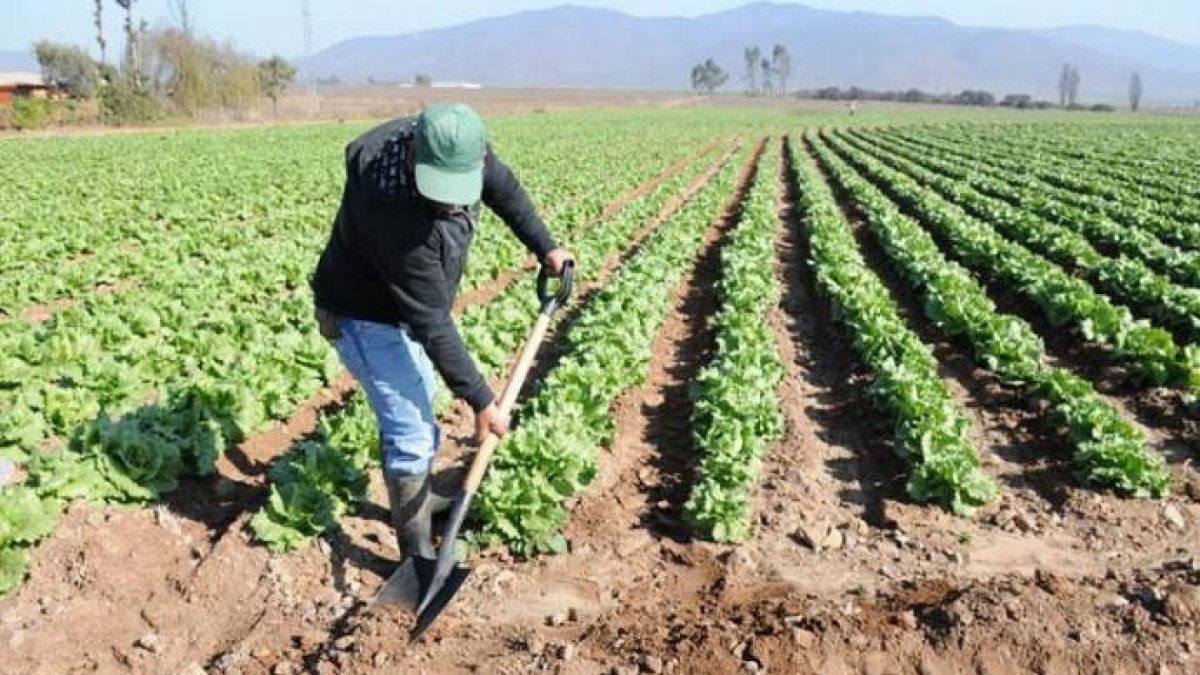 La reforma de la PAC deja sin ayuda la tercera parte de anteriores beneficiarios