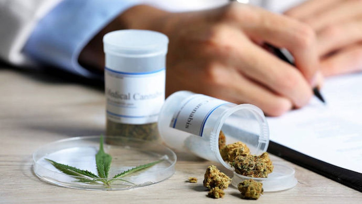 Aumentan los usos del Cannabis terapéutico