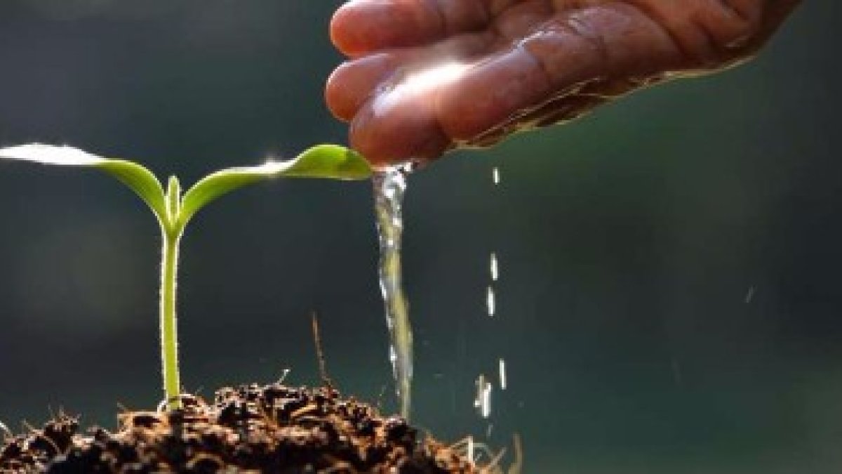 481 millones de euros para proyectos de investigación contra la falta de agua