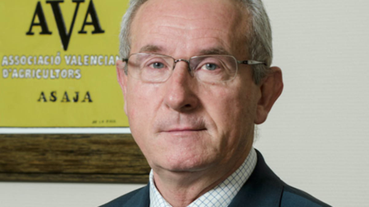 Cristóbal Aguado, AVA: