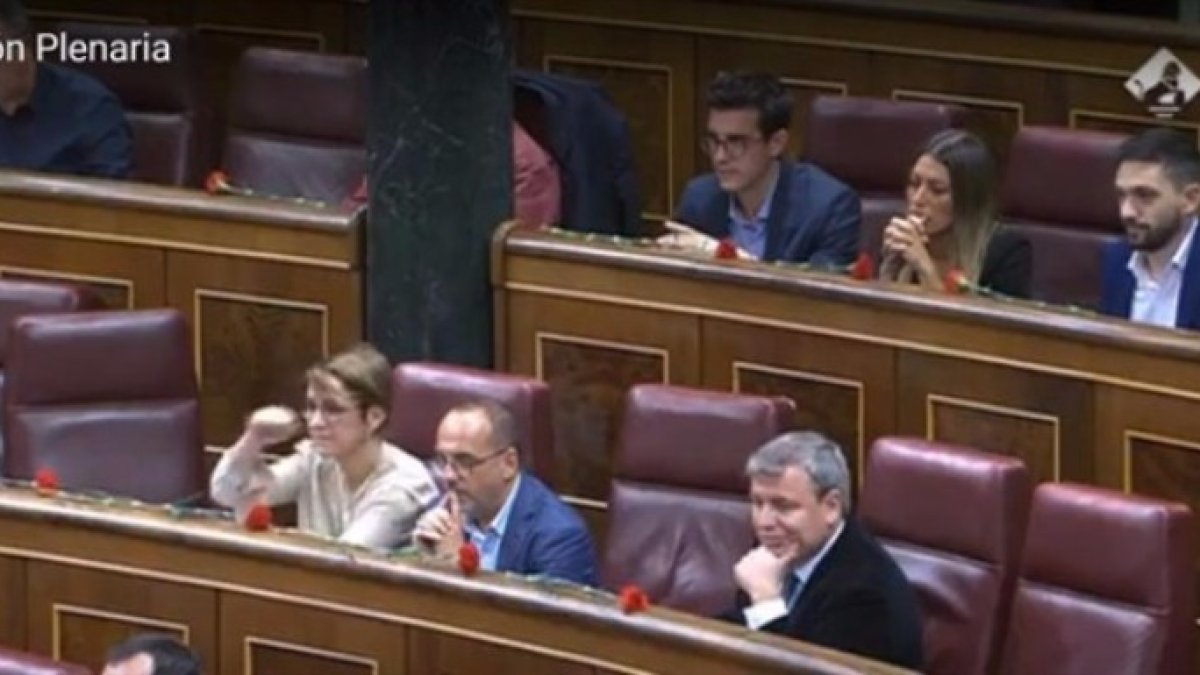 Una diputada catalana pierde los nervios con Toni Cantó por