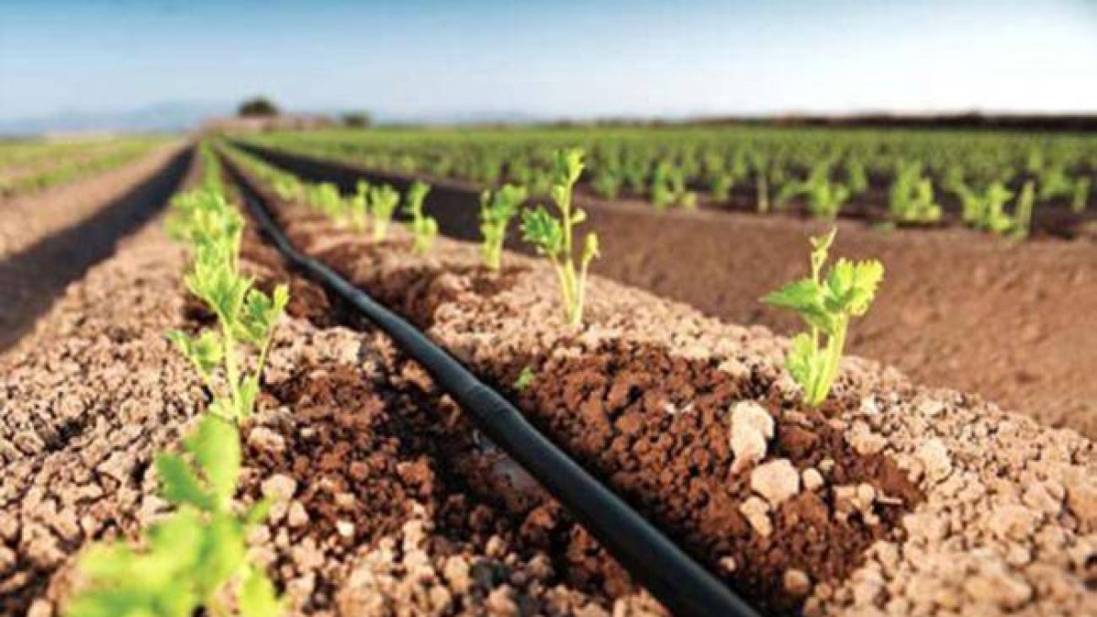 Agua y agricultura: ¿qué pasa? Hay que organizarse y gritar