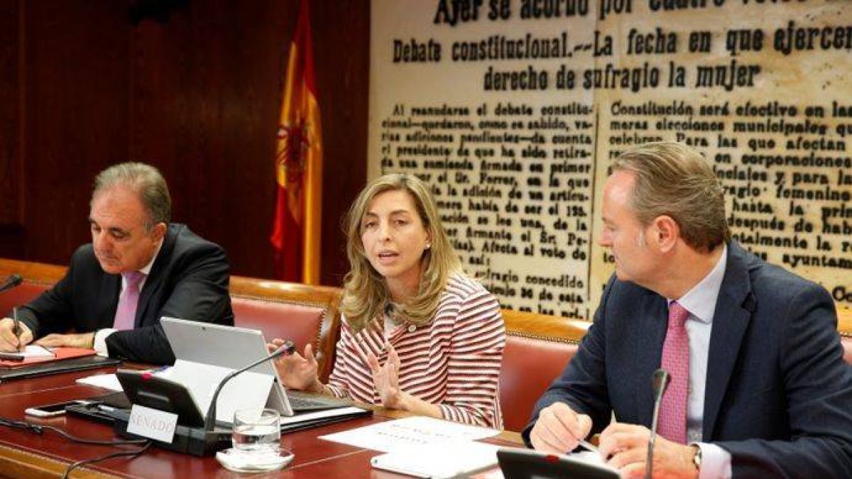 Eva Piera lleva al Senado la sostenibilidad de Mapfre