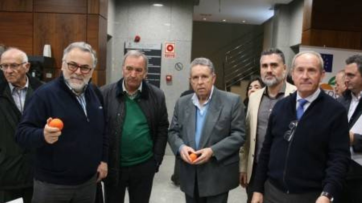 Madanova, la nueva mandarina sin pepitas