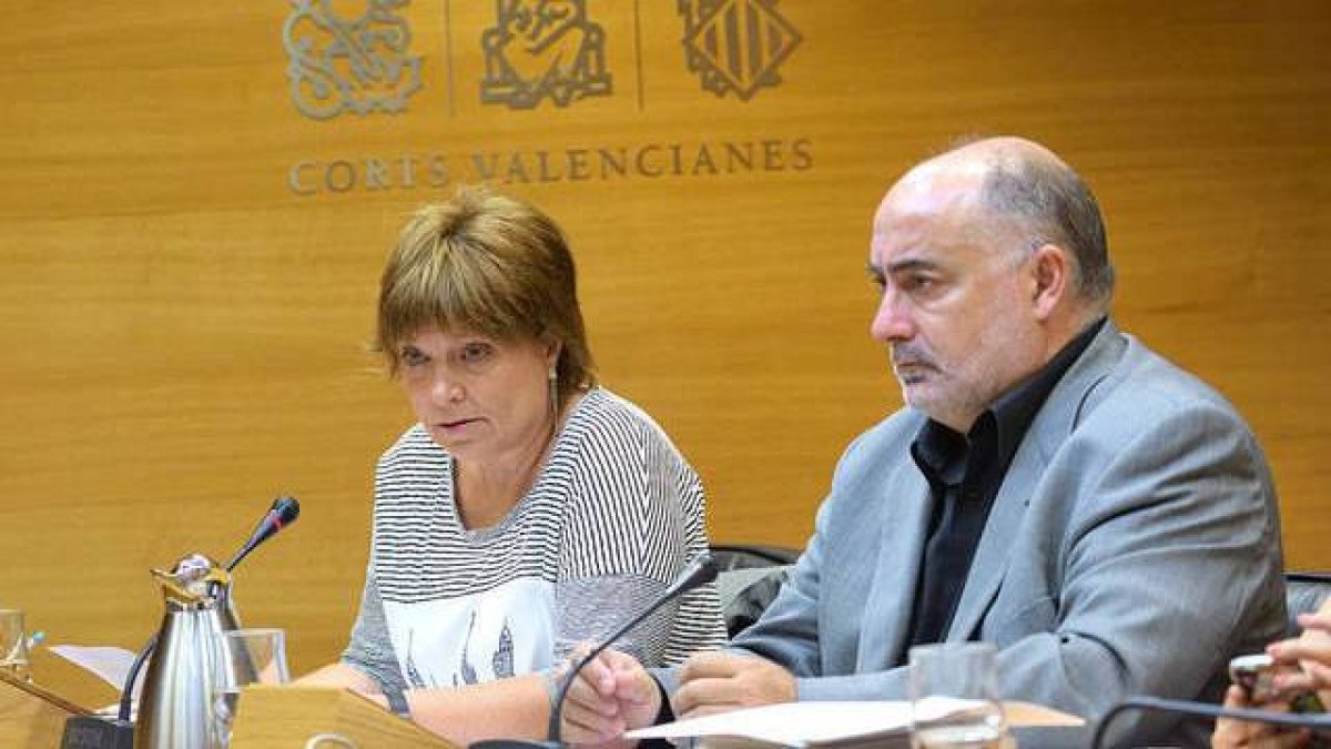 Enpar Marco durante su última comparecencia en Les Corts.