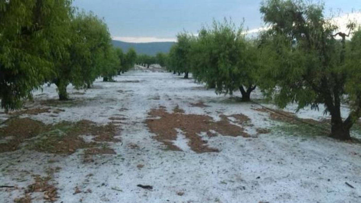 Alerta naranja por pedrisco
