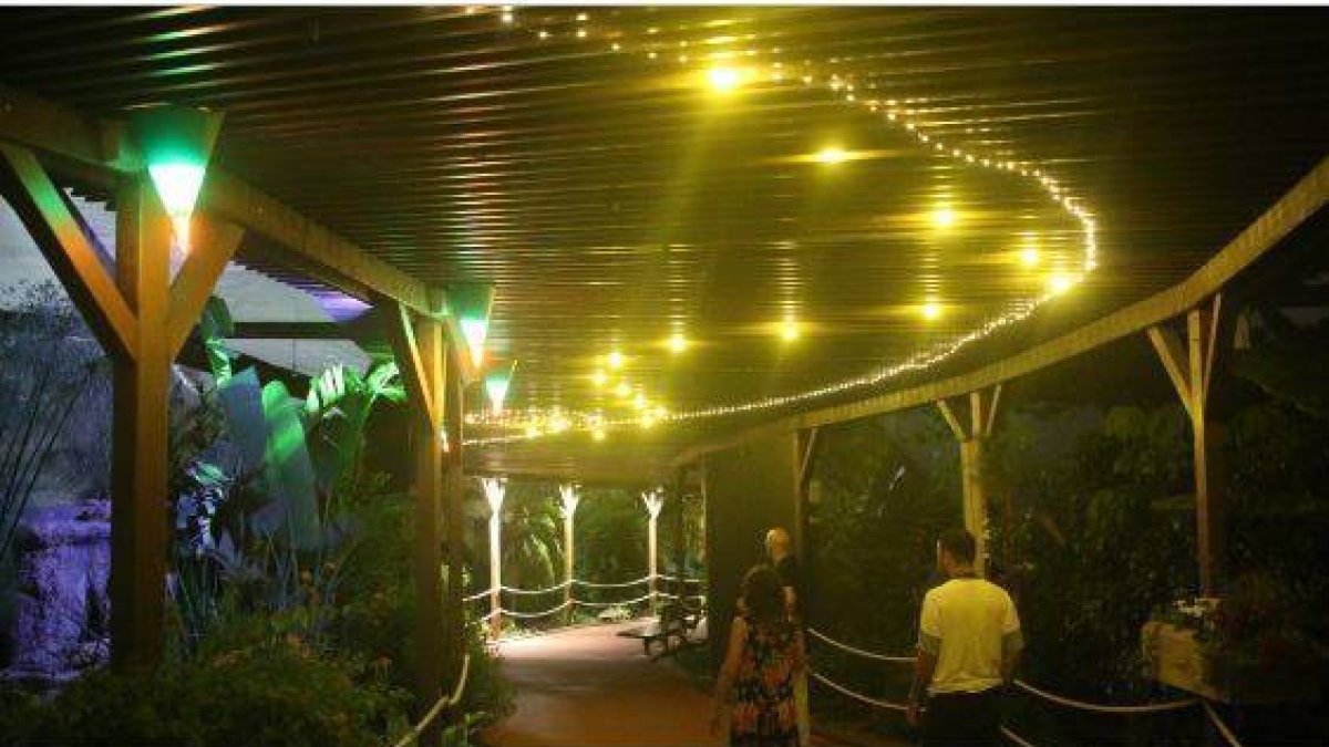 Las noches de l'Oceanogràfic 2018