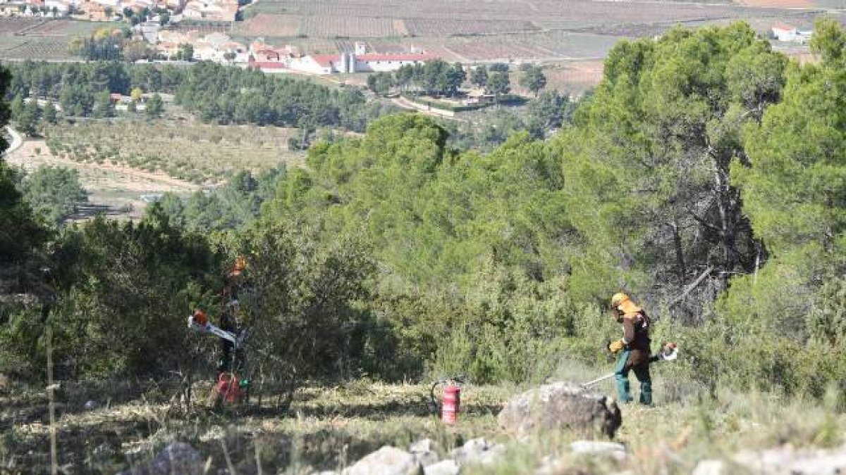 Un brigada forestal trabajando en el cortafuegos