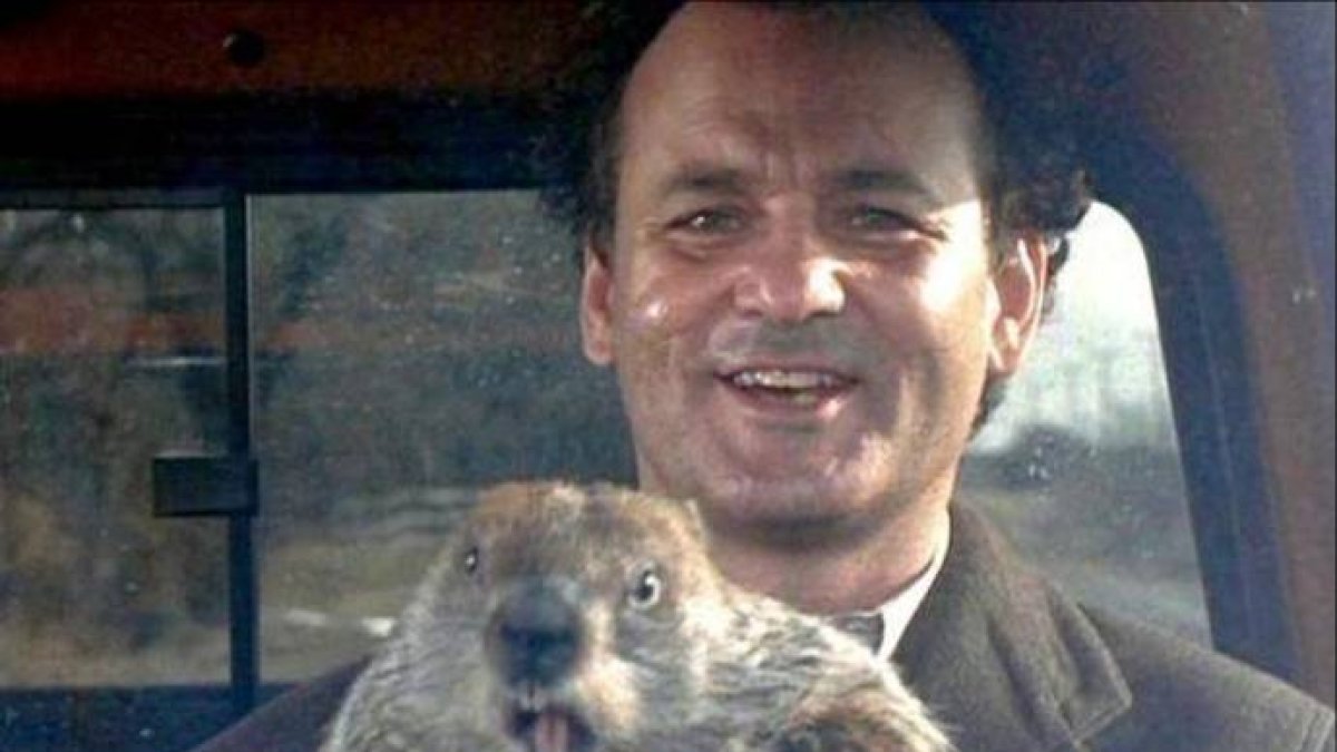 El día de la marmota: tesis, másteres y titulitis