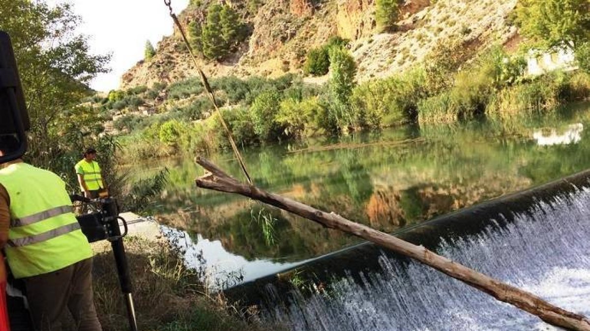 La Confederación del Segura propone desembalsar 85 hm3 más que el pasado año