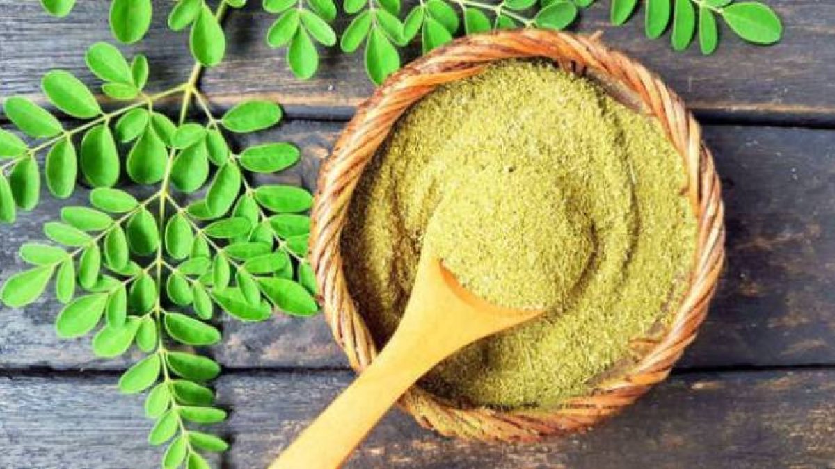 Apúntate a la moringa, el árbol milenario aliado de tu belleza y de tu salud