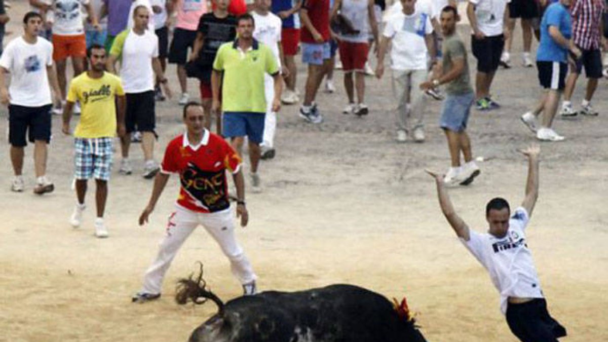 Bous al Carrer en El Moralet.