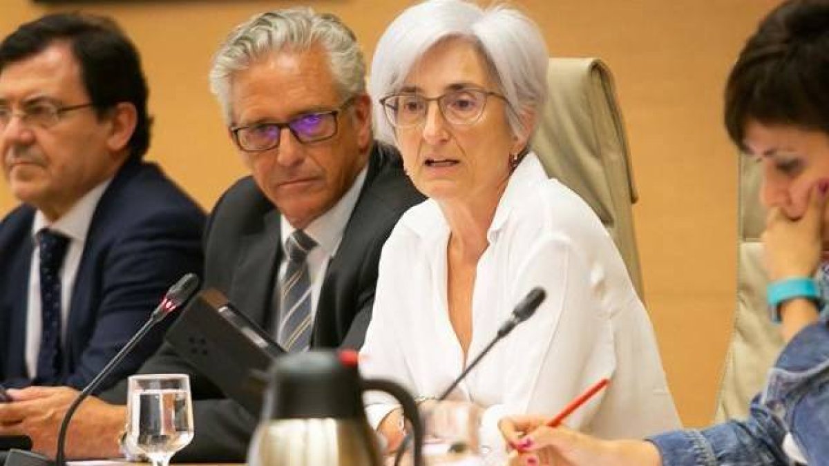 La Fiscal General deberá aclarar si ampara a los que quitan lazos amarillos