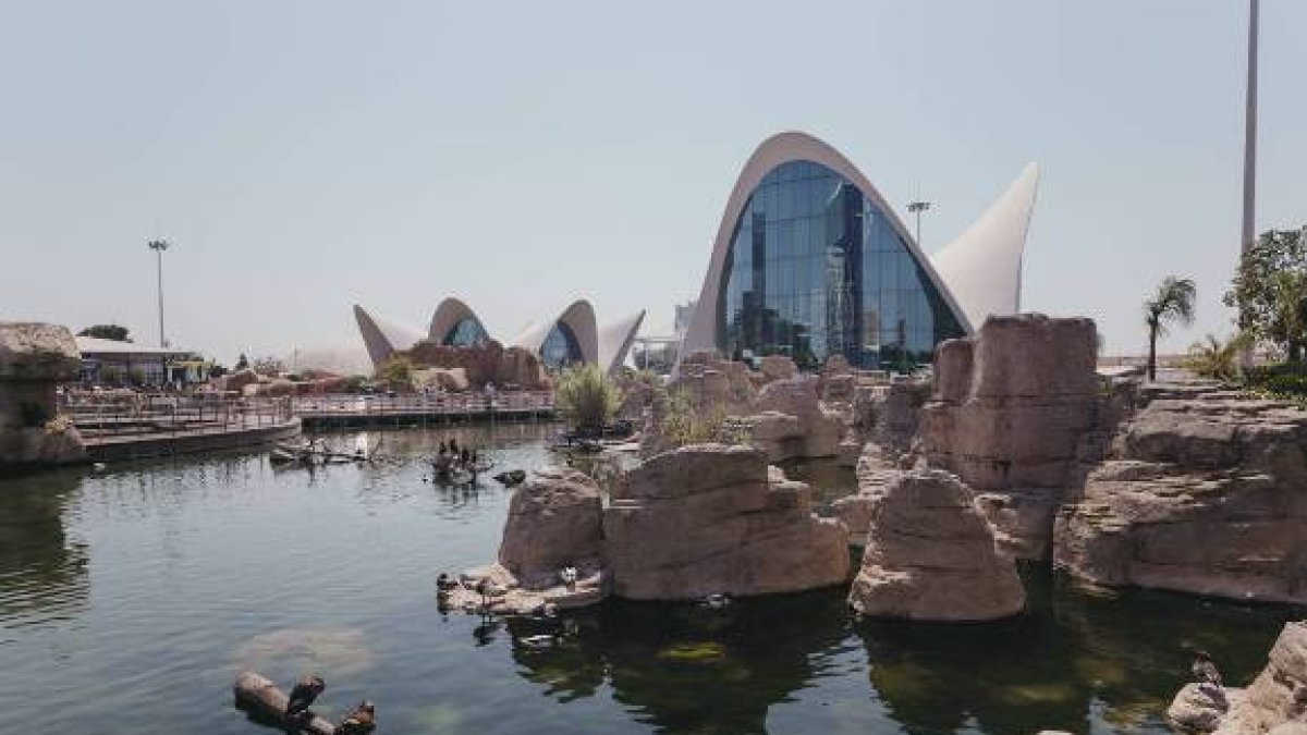 L'Oceanogràfic, segundo mejor acuario del mundo