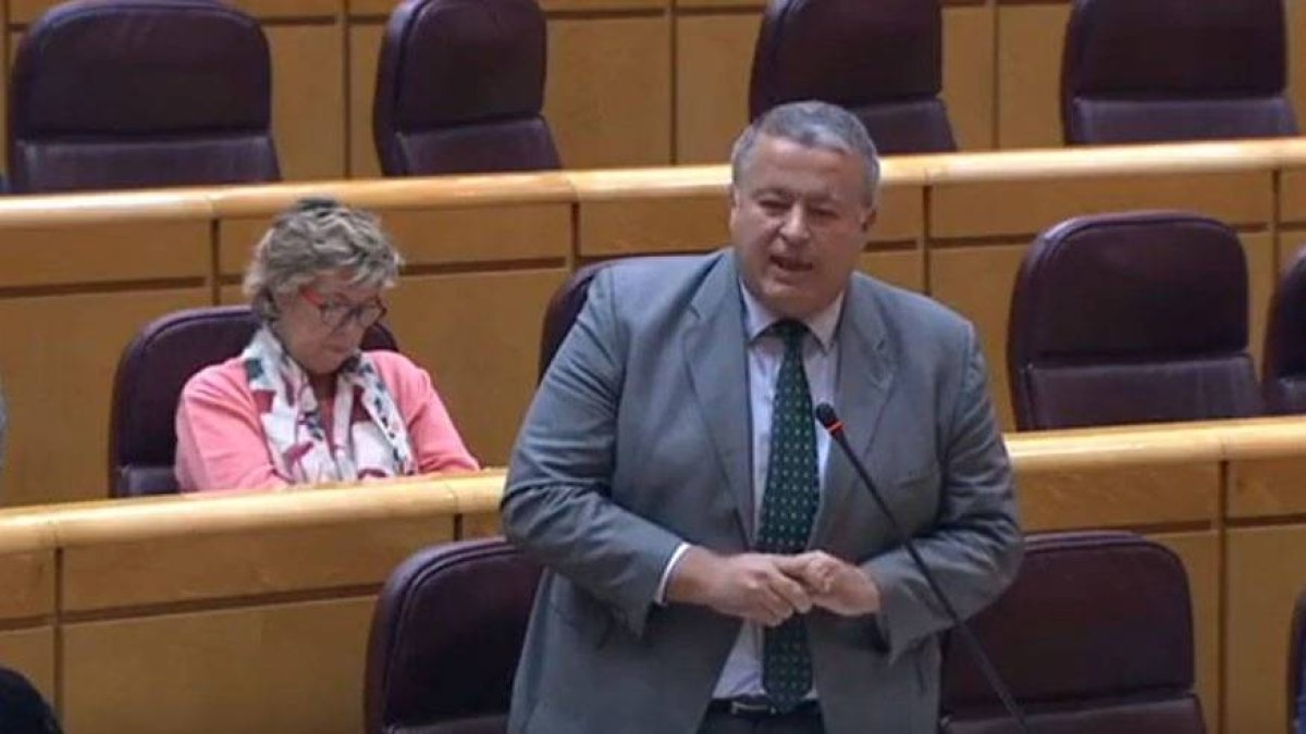 El senador del PP Francisco Martín Bernabé.
