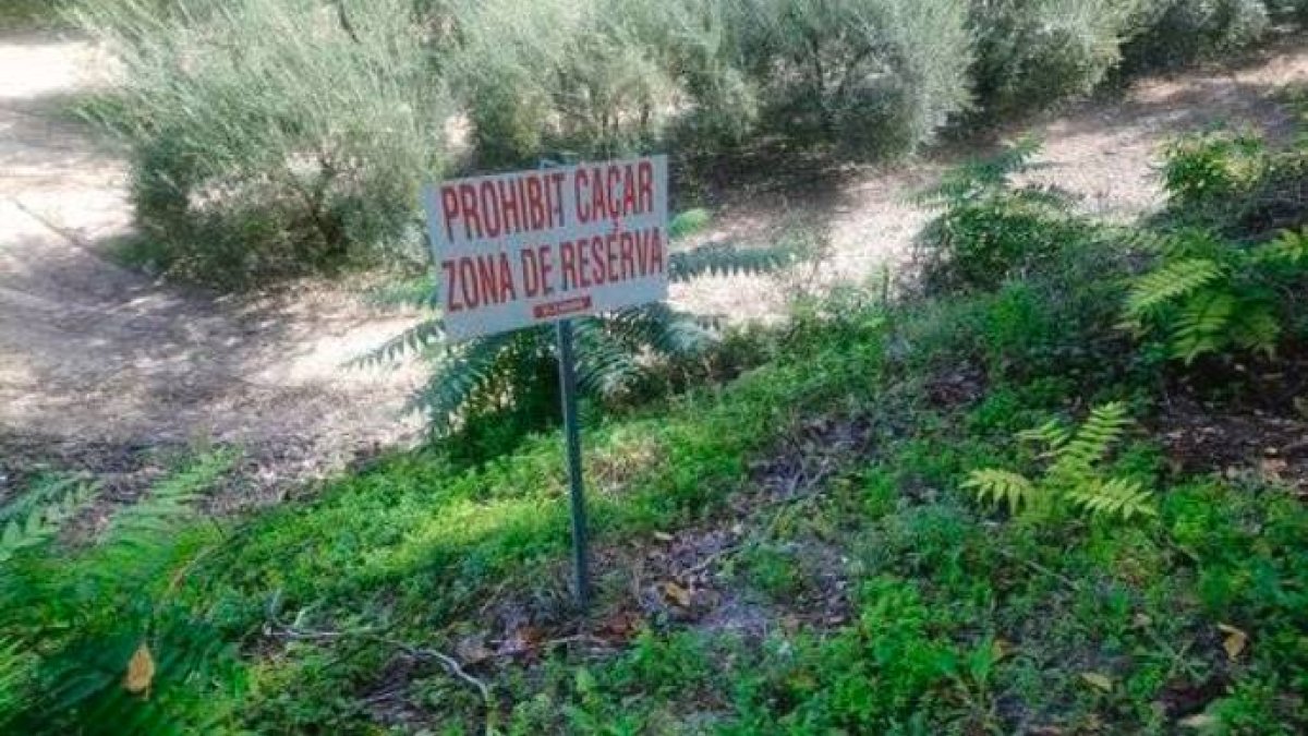 La doble moral ante la caza del jabalí