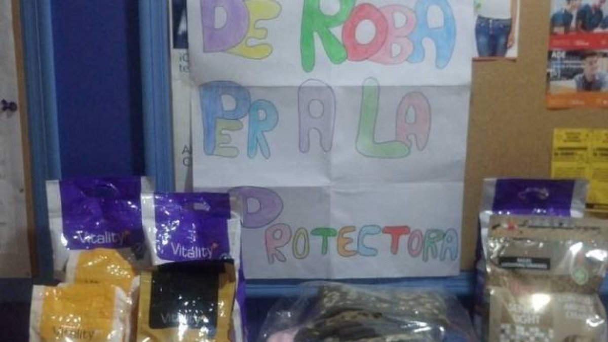 Empatía para una sociedad menos violenta
