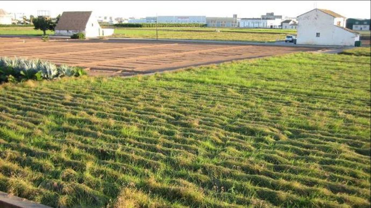 El anillo verde metropolitano, una vía de bienestar (2000-2018)
